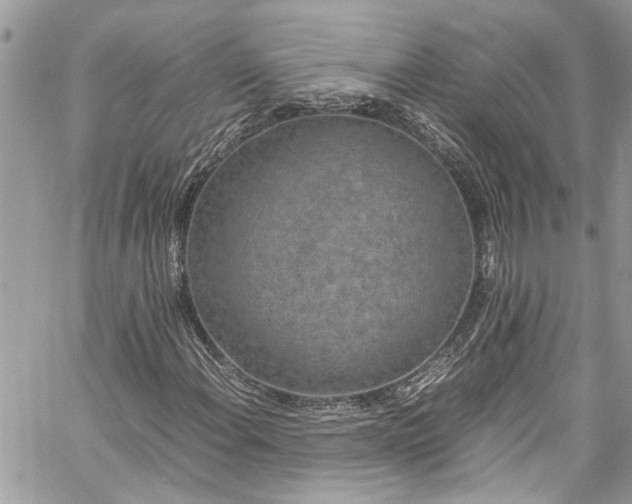 X0000060281108200511010959