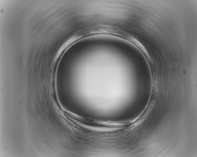 X0000060281146200511011000