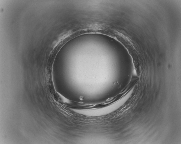X0000060281160200511010959