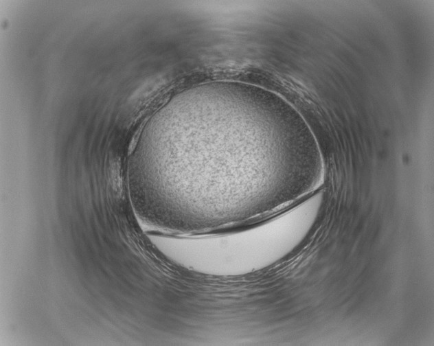 X0000060281252200511010957