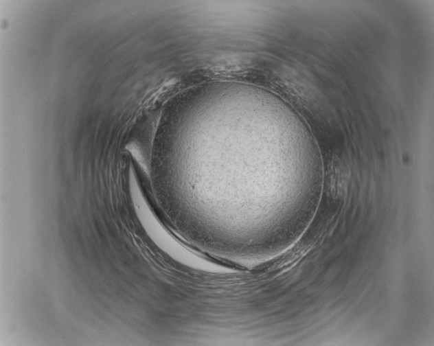 X0000060281346200511010956