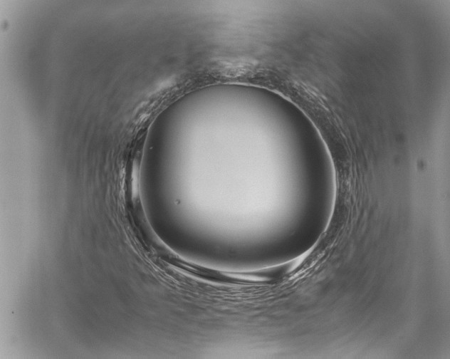 X0000060281349200511010956