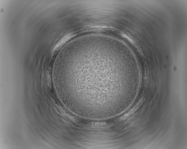 X0000060281354200511010956