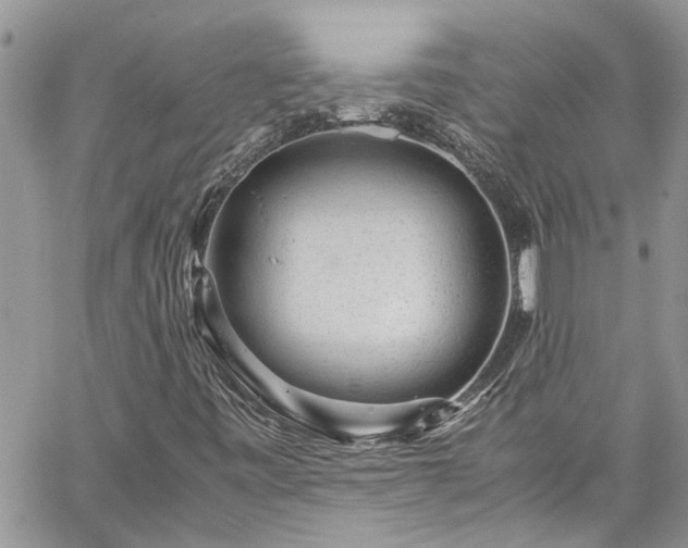 X0000060281443200511010954