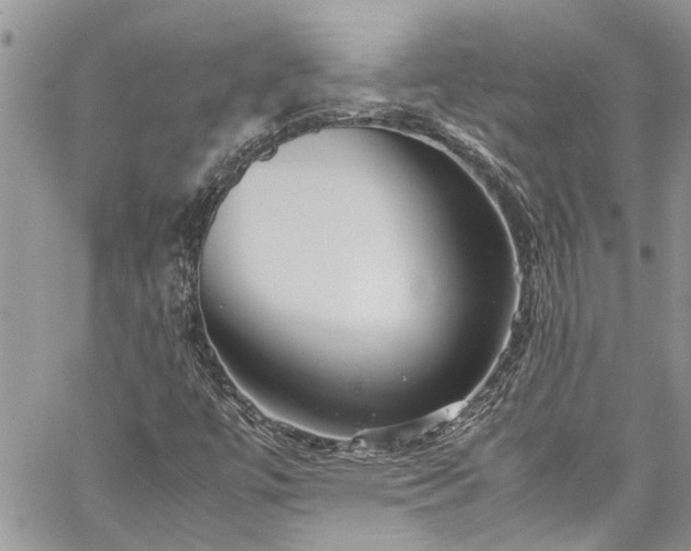 X0000060281447200511010954