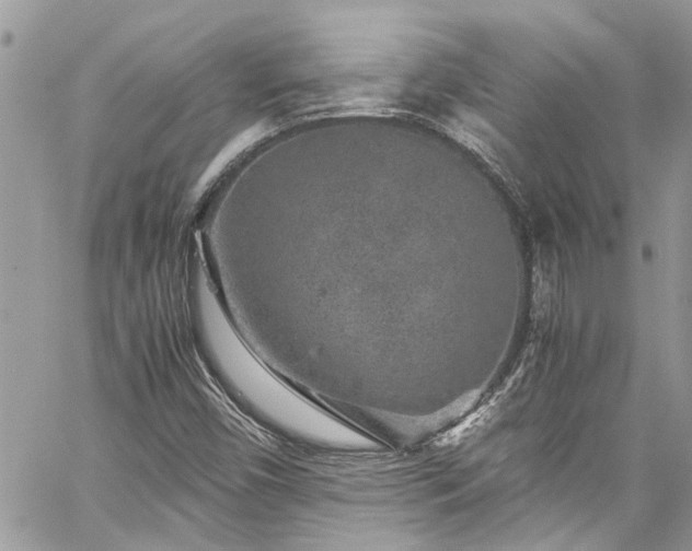 X0000060281450200511010954