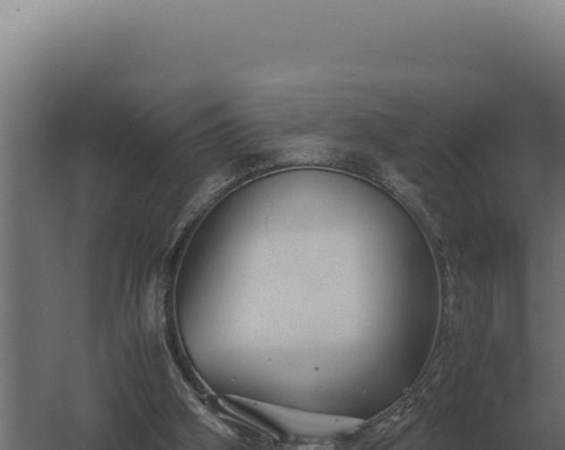 X0000060280106200511041452