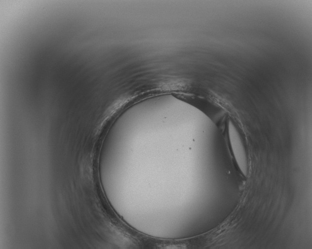 X0000060280155200511041450