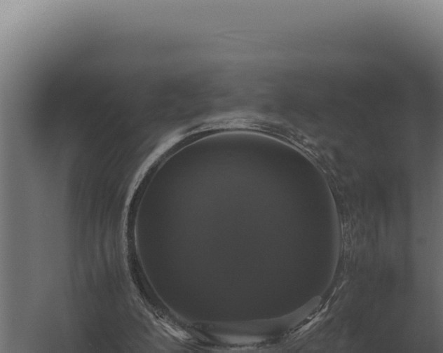 X0000060280200200511041450