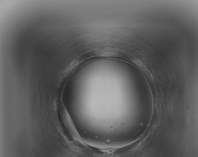 X0000060280201200511041450