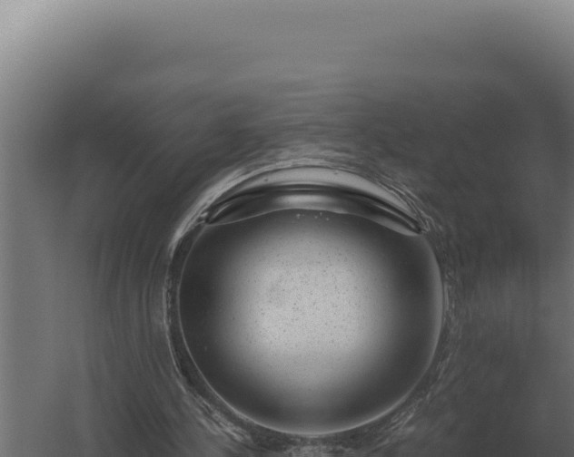 X0000060280244200511041449
