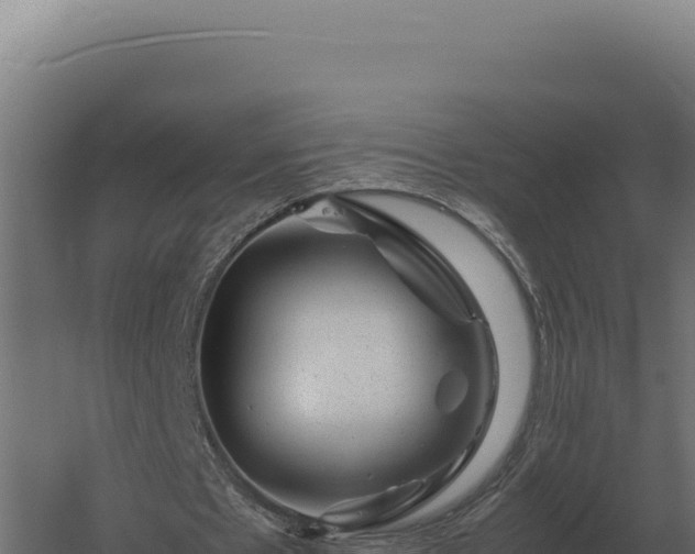 X0000060280481200511041445