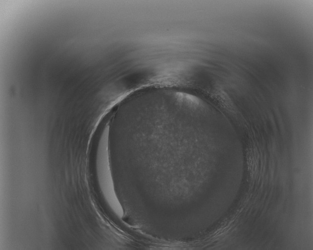X0000060280488200511041445