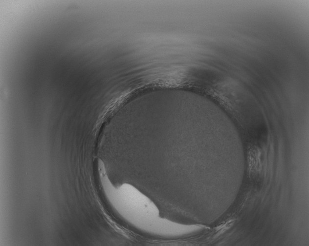 X0000060280493200511041445
