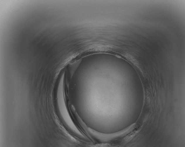 X0000060280581200511041444