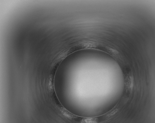X0000060280622200511041443