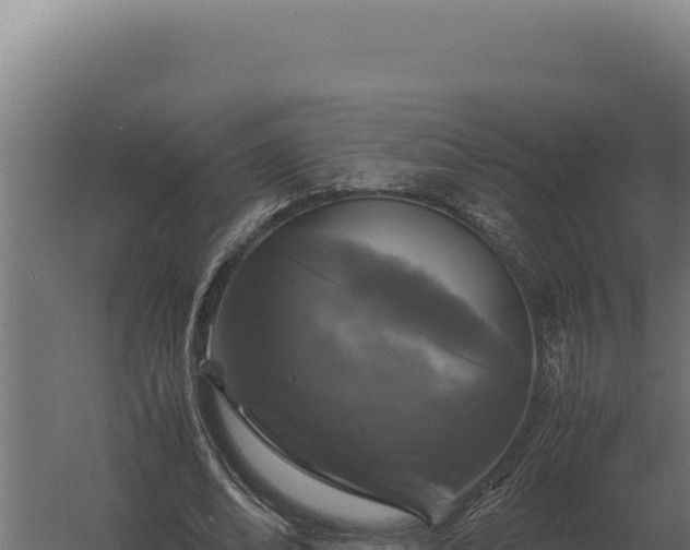 X0000060280678200511041442