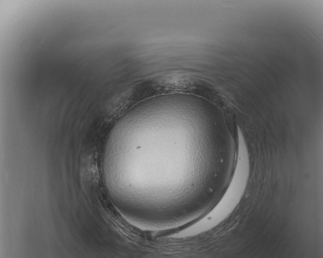 X0000060280771200511041441