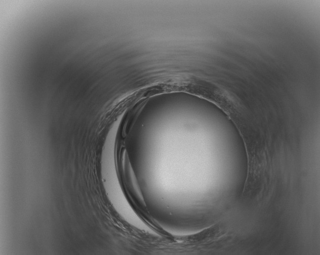 X0000060280773200511041440