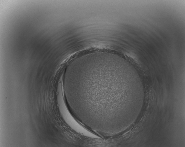 X0000060280776200511041440