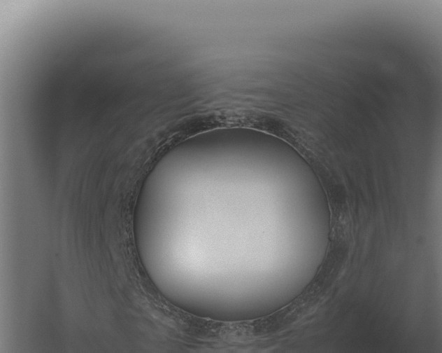 X0000060280865200511041439