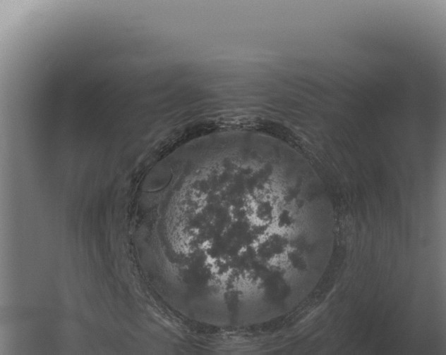 X0000060280913200511041437