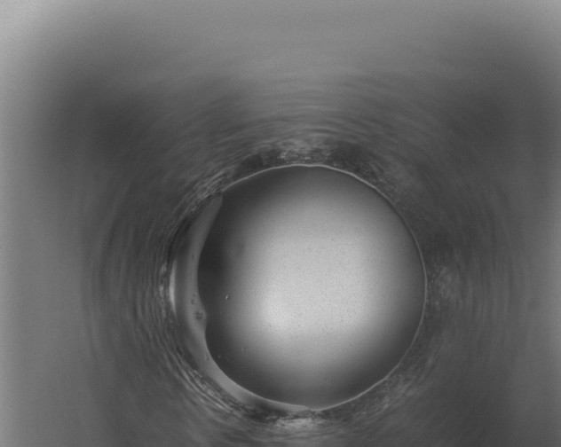 X0000060280914200511041437