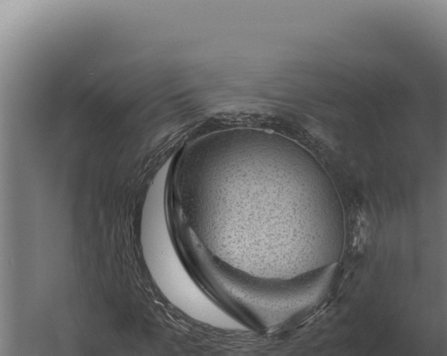 X0000060280965200511041437