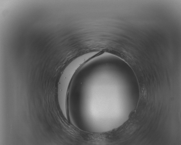 X0000060281012200511041436