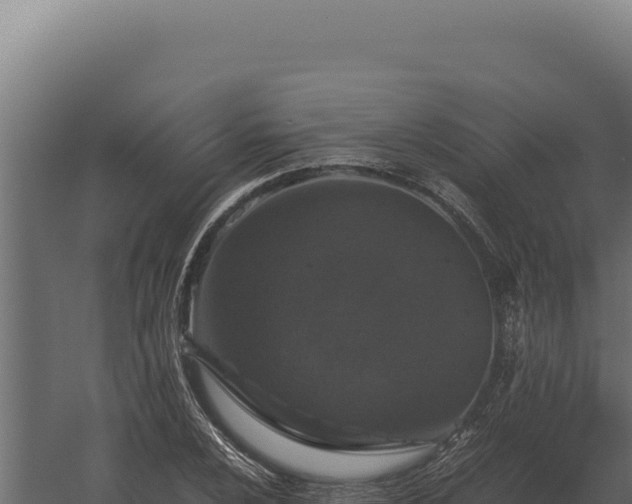 X0000060281024200511041436