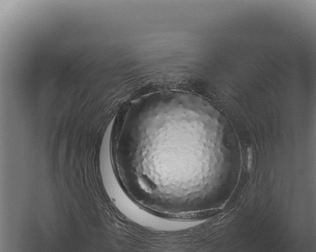 X0000060281059200511041436