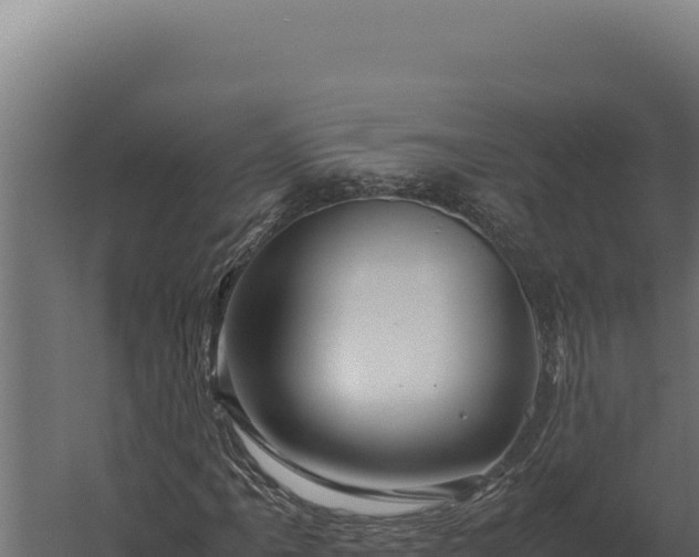 X0000060281061200511041436