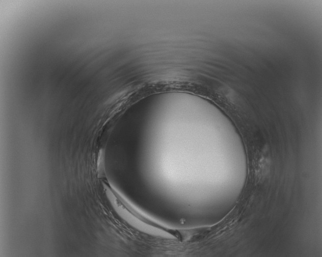 X0000060281062200511041436