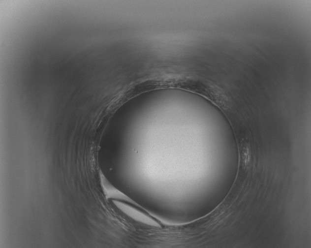 X0000060281204200511041433