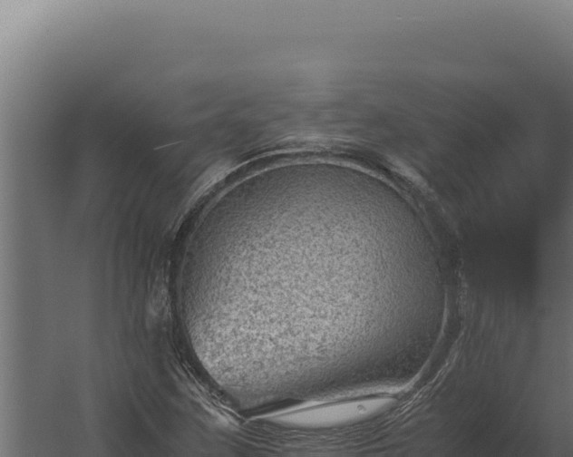 X0000060281259200511041432