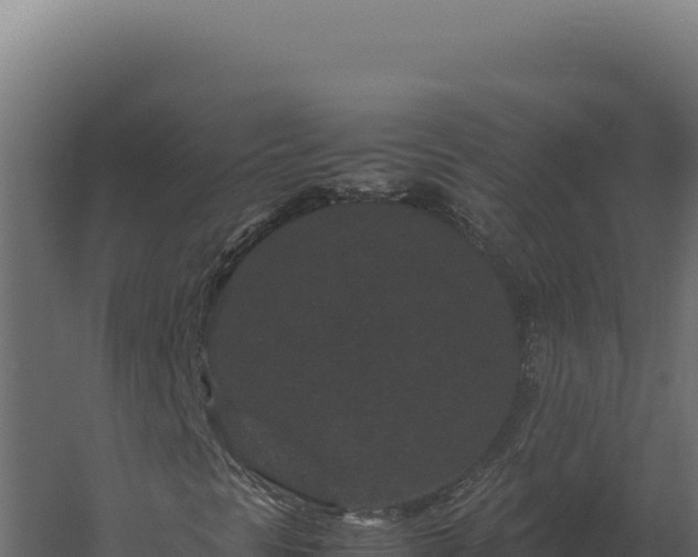 X0000060281297200511041431