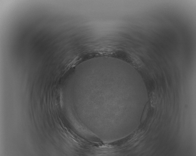 X0000060281298200511041431