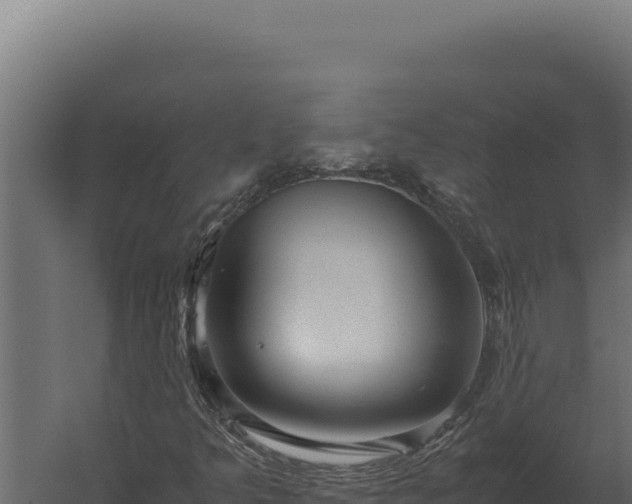 X0000060281349200511041431