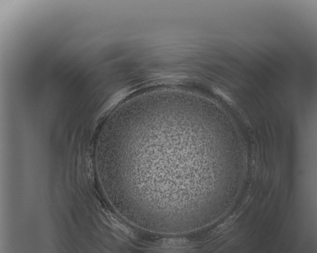 X0000060281354200511041431
