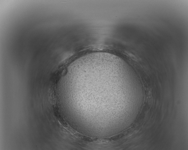 X0000060281446200511041429
