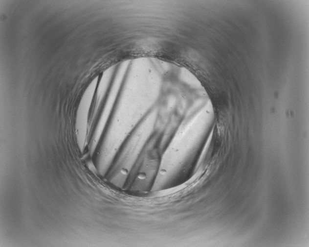 X0000060280045200511112125