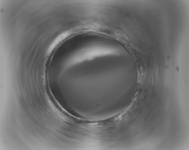 X0000060280054200511112124
