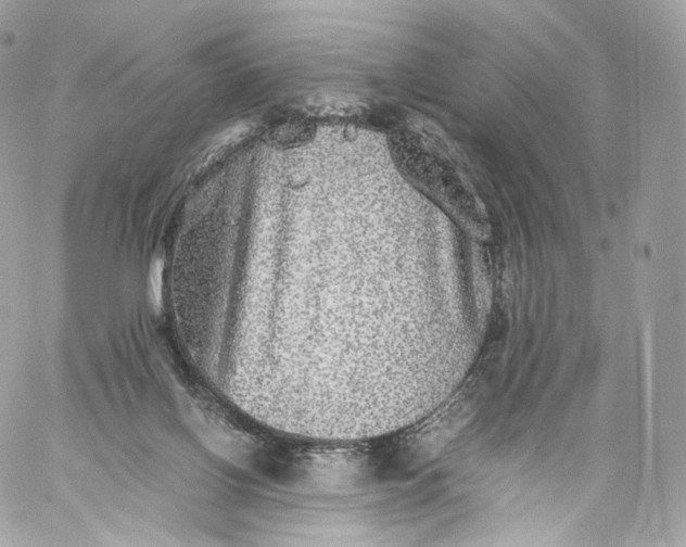 X0000060280070200511112124