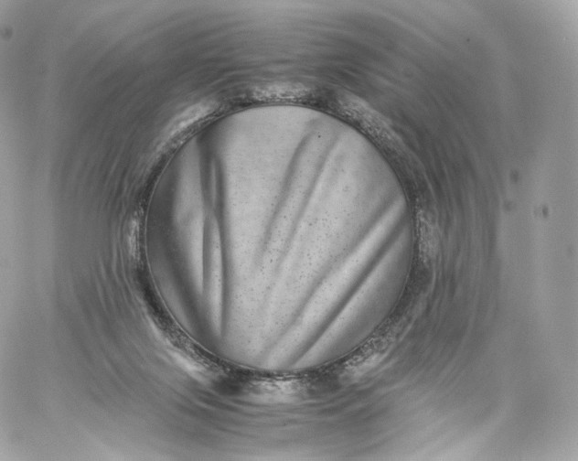 X0000060280071200511112124