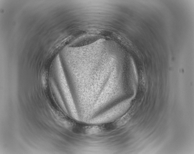 X0000060280074200511112124