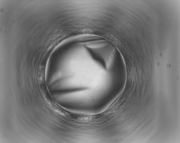 X0000060280084200511112124