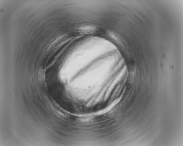 X0000060280093200511112124