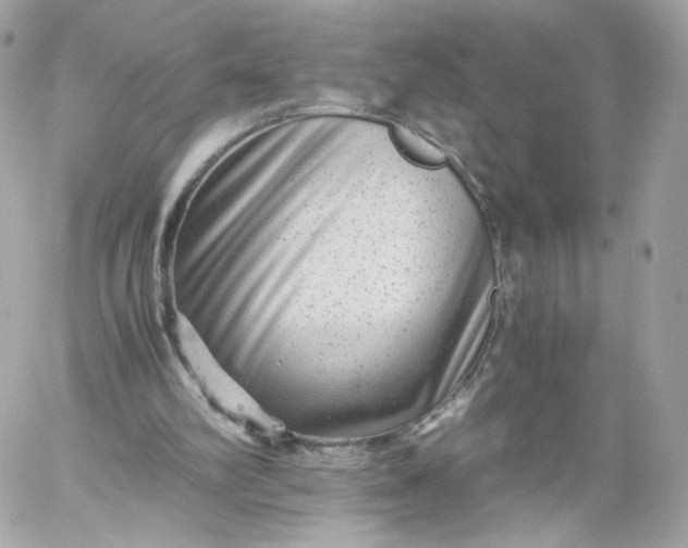 X0000060280102200511112124