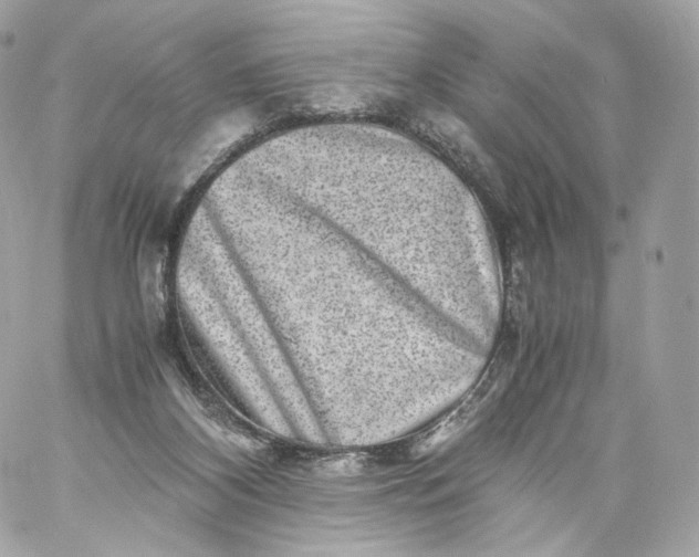 X0000060280116200511112123