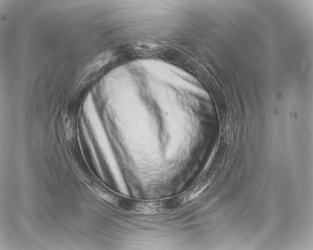 X0000060280131200511112123